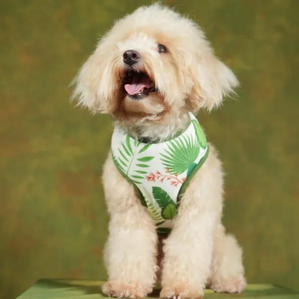 White_High_Safety_Dog_Belt_For_Large_Dogs