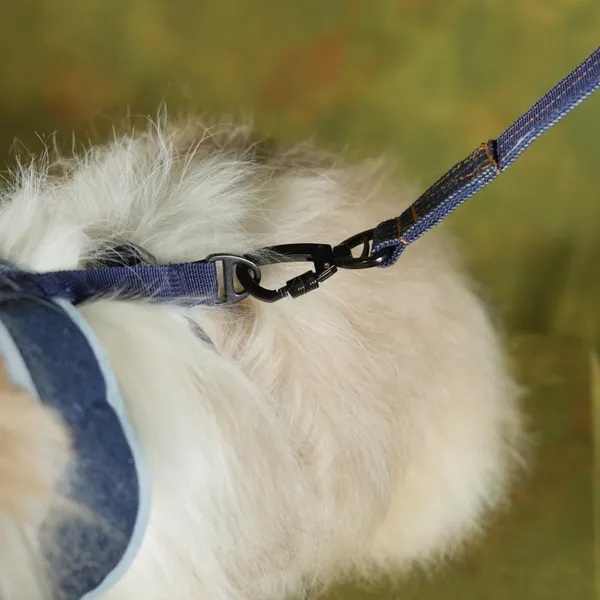 Blue_Adjustable_Outdoor_Dog_Harness_With_Led_Snap_Buckles,_High_Safety_Dog_Belt_For_Large_Dogs