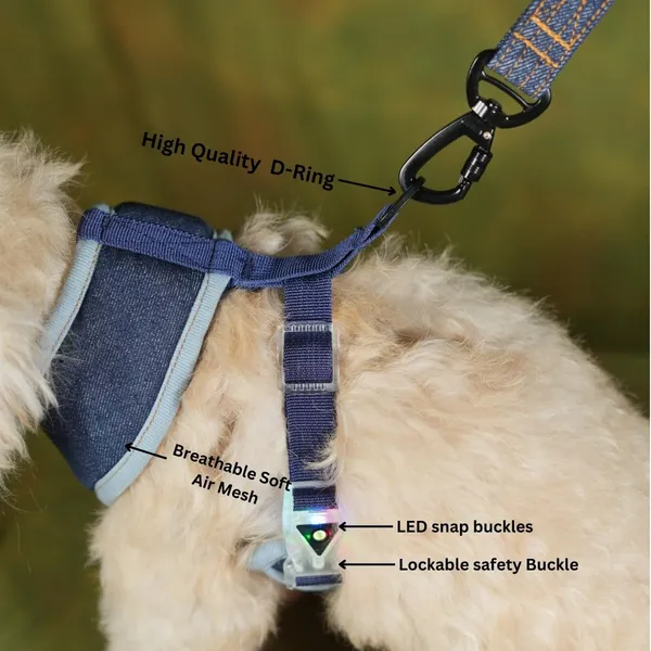 Blue_Adjustable_Outdoor_Dog_Harness_With_Led_Snap_Buckles,_High_Safety_Dog_Belt_For_Large_Dogs