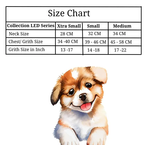 Light_Blue_High_Safety_Dog_Belt_For_Large_Dogs