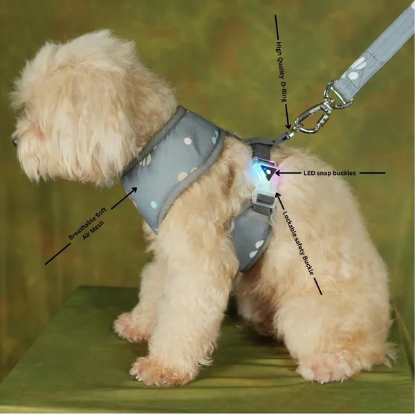 Light_Blue_High_Safety_Dog_Belt_For_Large_Dogs