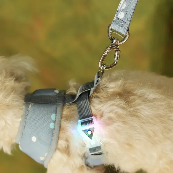 Light_Blue_High_Safety_Dog_Belt_For_Large_Dogs