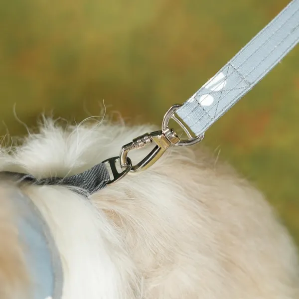 Light_Blue_High_Safety_Dog_Belt_For_Large_Dogs