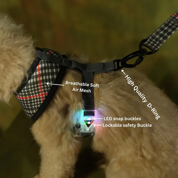 Black_High_Safety_Dog_Belt_For_Large_Dogs