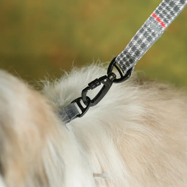 Black_High_Safety_Dog_Belt_For_Large_Dogs
