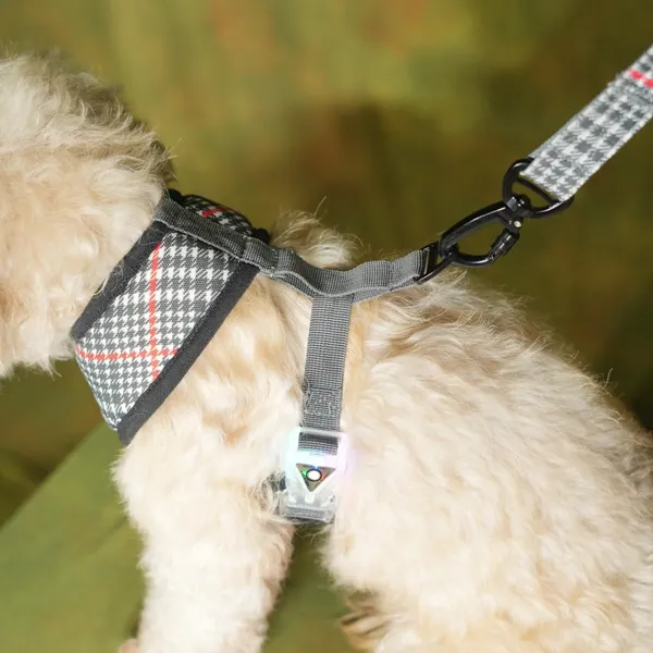 Black_High_Safety_Dog_Belt_For_Large_Dogs