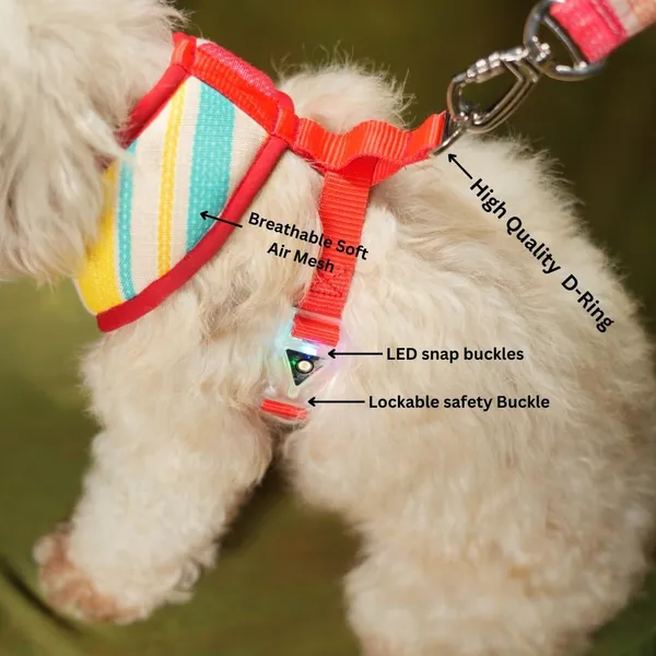 Multicolor_High_Safety_Dog_Belt_For_Large_Dogs