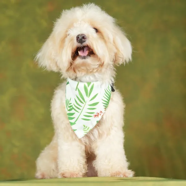 White_Adjustable_Dog_Bandana/Dog_Scarf/Dog_Gift