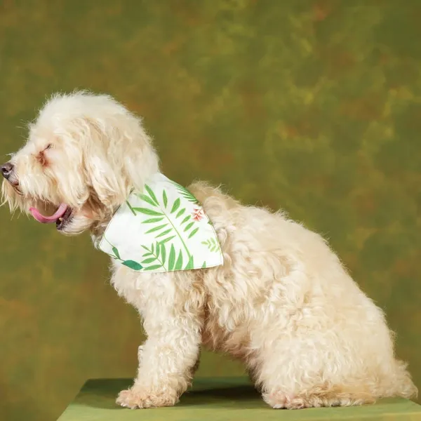 White_Adjustable_Dog_Bandana/Dog_Scarf/Dog_Gift