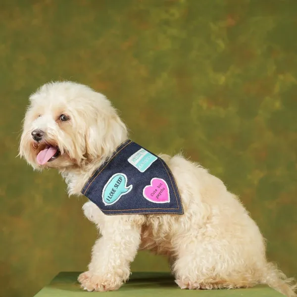 Black_Adjustable_Dog_Bandana/Dog_Scarf/Dog_Gift