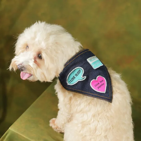 Black_Adjustable_Dog_Bandana/Dog_Scarf/Dog_Gift