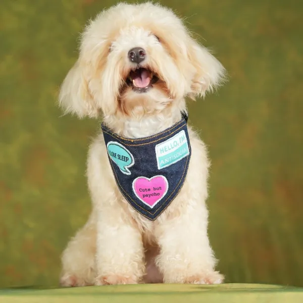 Black_Adjustable_Dog_Bandana/Dog_Scarf/Dog_Gift
