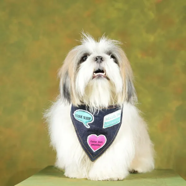 Black_Adjustable_Dog_Bandana/Dog_Scarf/Dog_Gift