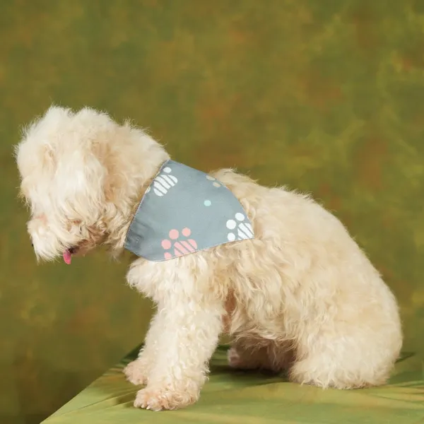 Multicolor_Adjustable_Dog_Bandana/Dog_Scarf/Dog_Gift