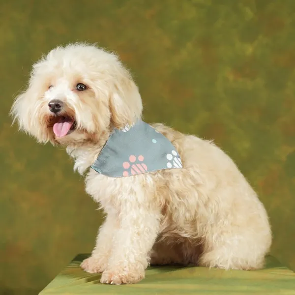 Multicolor_Adjustable_Dog_Bandana/Dog_Scarf/Dog_Gift