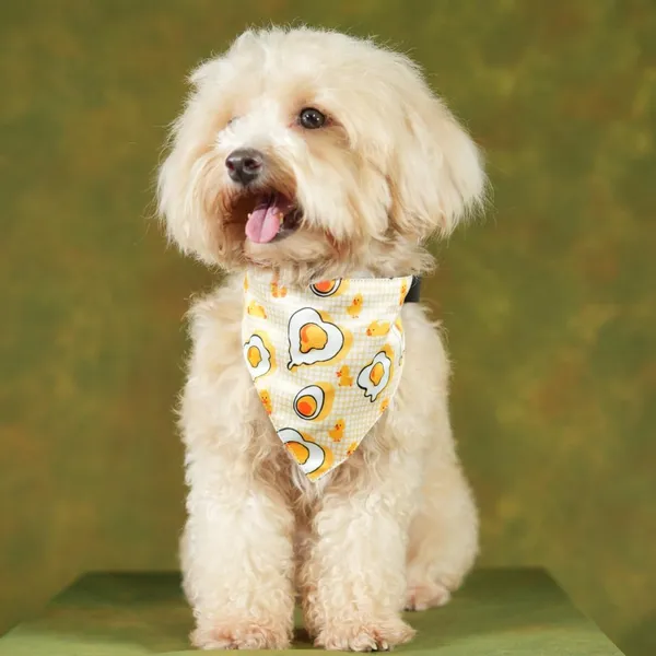 Yellow_Adjustable_Dog_Bandana/Dog_Scarf/Dog_Gift