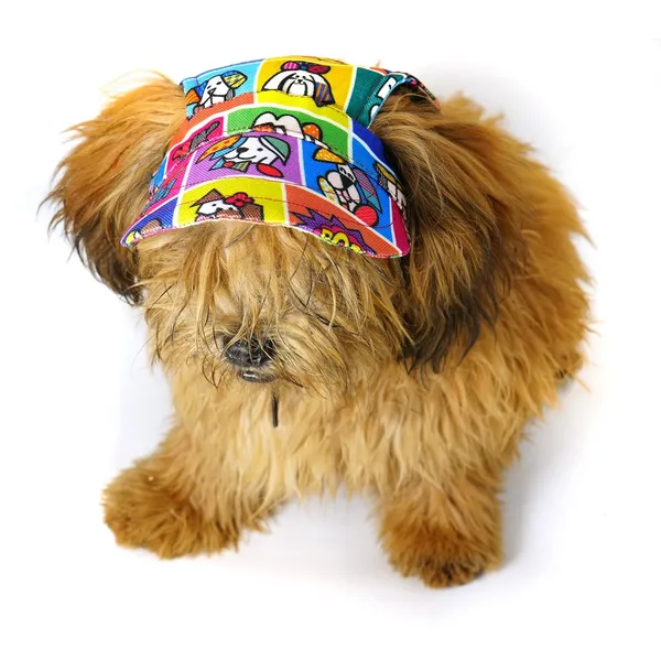 Multicolor_Cotton_Outdoor_Sport_Sun_Protection_Baseball_Cap_For_Male_&_Female_Dogs