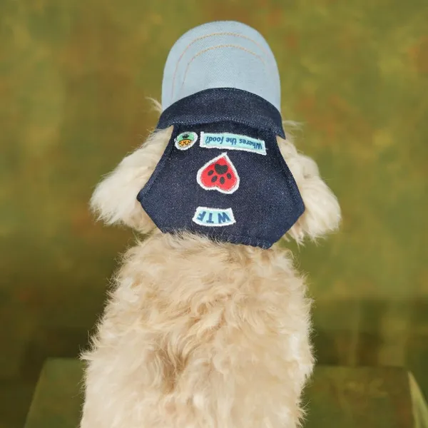 Blue_Outdoor_Sport_Sun_Protection_Baseball_Cap_For_Male_&_Female_Dogs