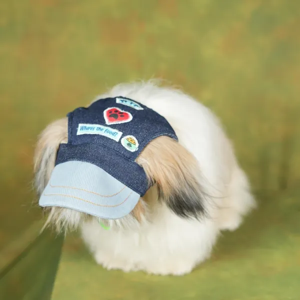 Blue_Outdoor_Sport_Sun_Protection_Baseball_Cap_For_Male_&_Female_Dogs