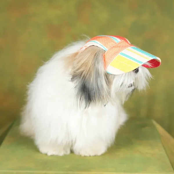 Multicolor_Outdoor_Sport_Sun_Protection_Baseball_Cap_For_Male_&_Female_Dogs