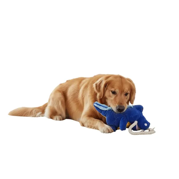 Blue_Gator_Crocky_Interactive_Puppet_Toy