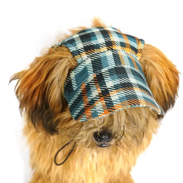 Multicolor_Cotton_Outdoor_Sport_Sun_Protection_Baseball_Cap_For_Male_&_Female_Dogs