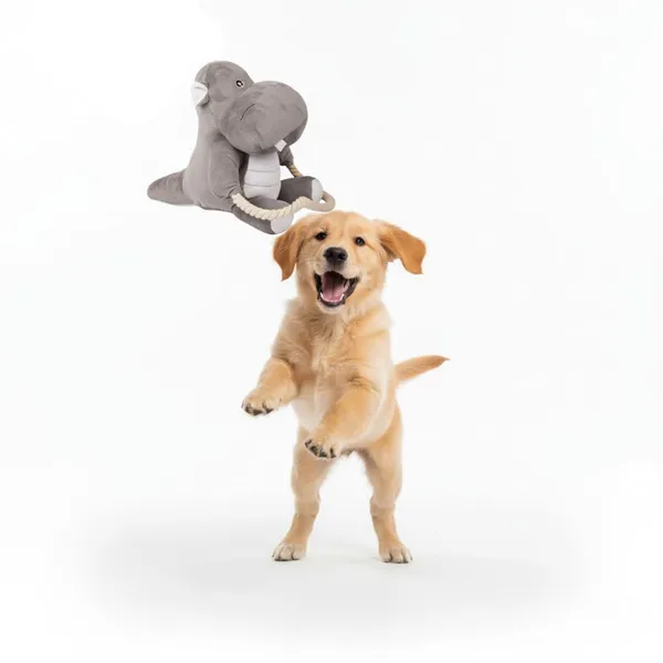 Grey_Plush_Hippo_Dog_Toy_With_Rope,_And_,_Soft_Stuffed_Animal_Pet_Toy