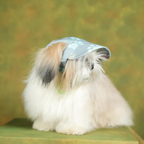 Light_Blue_Outdoor_Sport_Sun_Protection_Baseball_Cap_For_Male_&_Female_Dogs