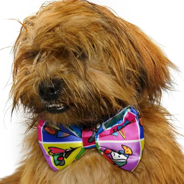 Multicolor_Adjustable_Fashion_Party_Costume_Necktie_For_Dogs/Puppy/Cat/Kitten