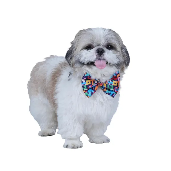 Multicolor_Adjustable_Fashion_Party_Costume_Necktie_For_Dogs/Puppy/Cat/Kitten