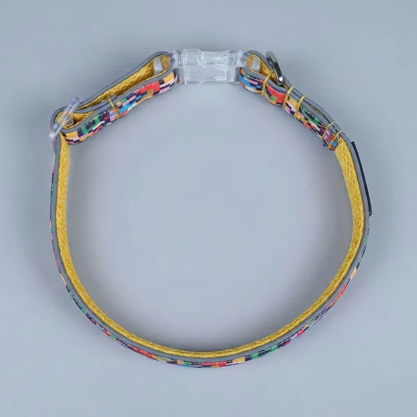 Multicolor_Super_Lightweight_Dog_Belt