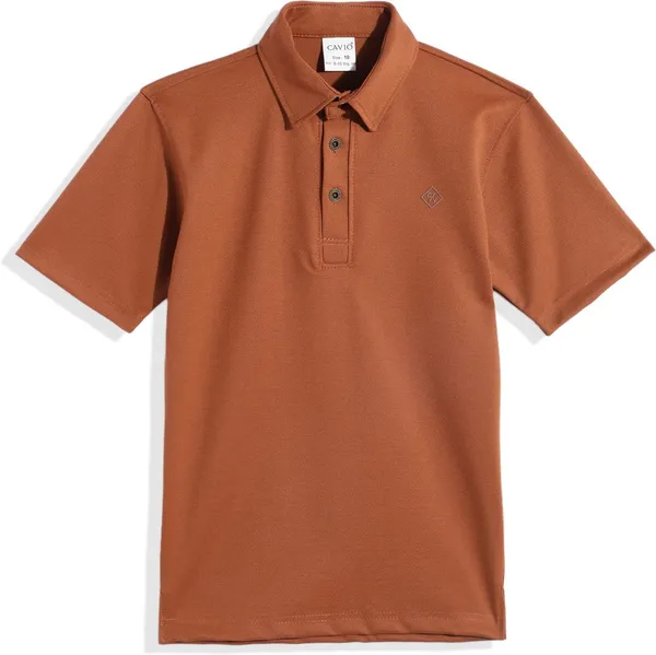 Brown_Cotton_Blend_Solid_Polo_Neck_T-Shirt_For_Boys