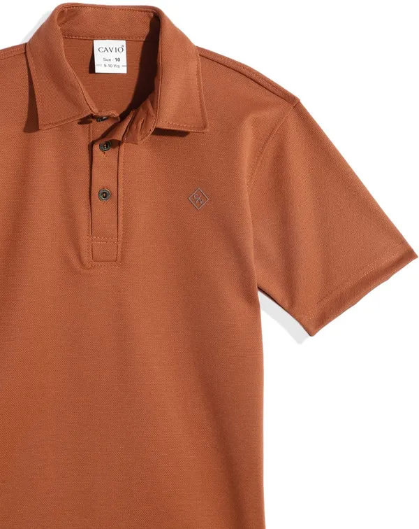 Brown_Cotton_Blend_Solid_Polo_Neck_T-Shirt_For_Boys