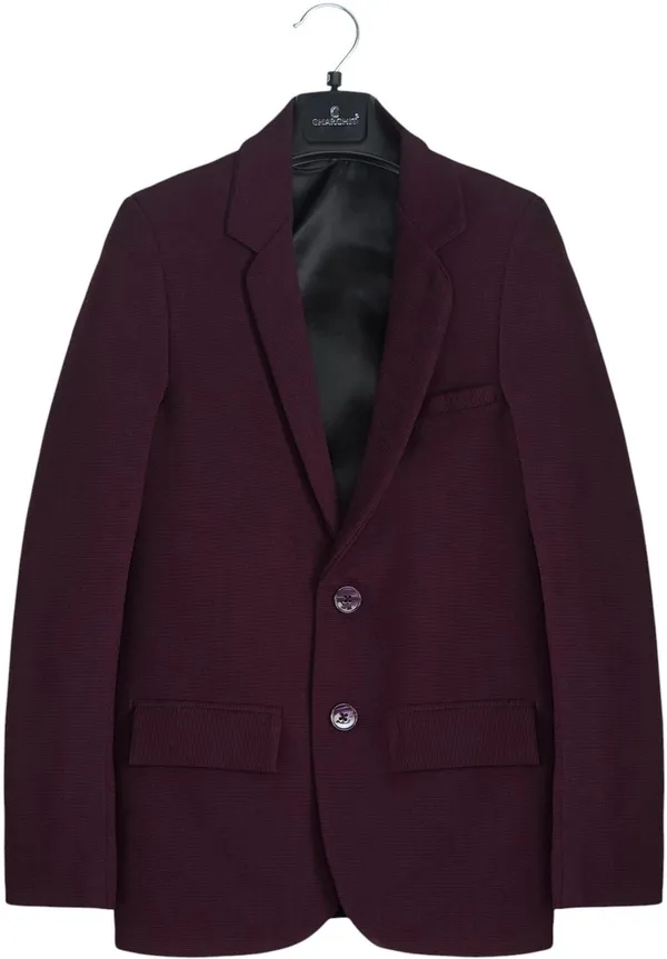 Purple_Cotton_Blend_Solid_Full_Sleeve_Single_Breasted_Blazer_For_Boys