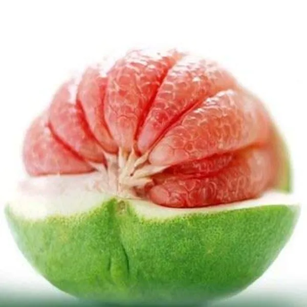 Bahan_Traders_Sweet_Pomelo_Citrus_|_Kambili_Naranga_|_High_Yield_Batabi_Lemon_|_Grafted_Fruit_Live_Plant_With_A_Polybag