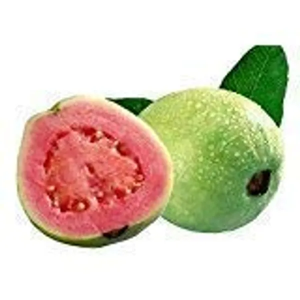 Bahan_Traders_Rare_Red_Amrud_Plant_Fruit_Tree_Guava_Rare_Apple_Guava_(Red_Flesh_-_Shape)_1_Live_Berry_Outdoor_Garden_Plant_(1_Healthy_Live_Plant_With_Polybag)