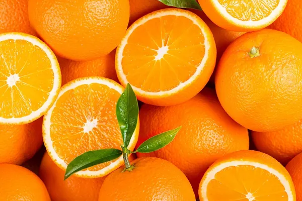 Bahan_Traders_Rare_Malta_Orange__Kinnow__Kinnu_Fruit_Live_Plant_With_Poly_Bag