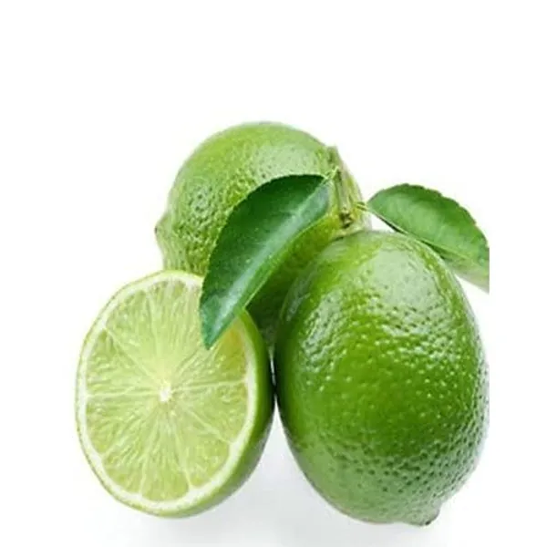 Bahan_Traders_Live_Kagzi_Nimboo_Plant_(Bangladesh_Variety)_1.5_Feet_To_2_Feet_Height_With_Polybag