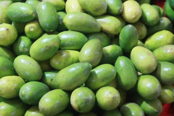 Bahan_Traders_Live_Kagzi_Nimboo_Plant_(Bangladesh_Variety)_1.5_Feet_To_2_Feet_Height_With_Polybag