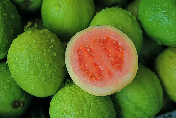Bahan_Traders_Rare_Red_Amrud_Plant_Fruit_Tree_Guava_Rare_Apple_Guava_(Red_Flesh_-_Shape)_Live_Berry_Plant_With_Polybag