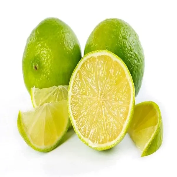 Bahan_Traders_Thai_Bari_1_Malta_Mosambi_Sweet_Lemon_Grafted_Fruit_Tree_1.6_Feet_Live_Plant_Suitable_For_Bonsai