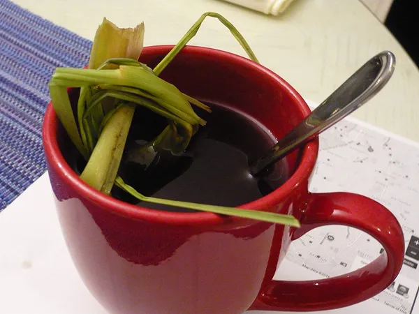Bahan_Traders_Live_Fresh_Lemon_Grass_Herbal_Medicinal_Plant_Lemongrass_Plant_With_Pot_Ready_To_Use_Mature_Plant_For_Home_Garden