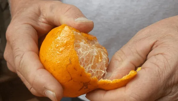 Bahan_Traders_Nagpur_Mandarin_Orange_All_Time_Variety_Grafted_Fruit_Live_Plants_&_Tree_Suitable_For_Bonsai_(Size:1_-_1.5_Ft)