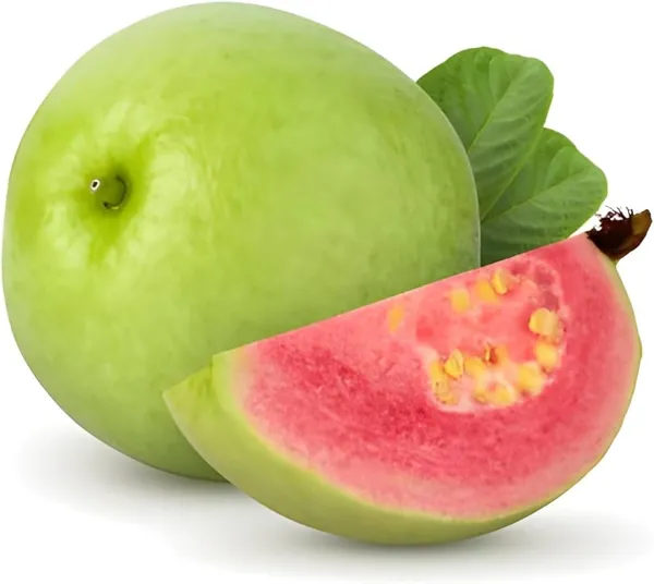 Bahan_Traders_Seedless_Amrud_Live_Red_Diamond_Guava_Grafted_Plant_&_Tree_Hight_Of_The_Plant_1.5_-_2_Ft