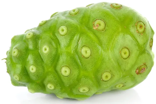 Bahan_Traders_Sweet_Rare_Noni_Fruit_Plant_|_Cheese_Fruits_1_Healthy_Live_Tree_With_Pollybag