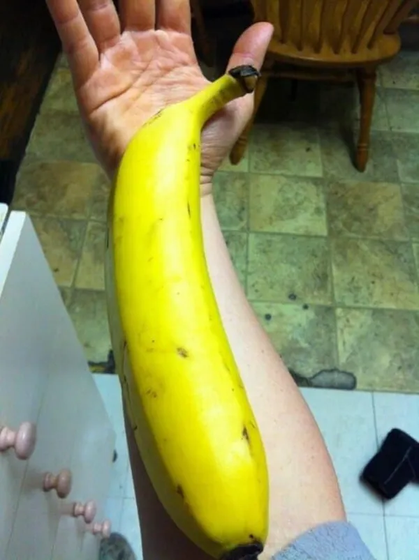 Bahan_Traders_Rear_Dwarf_G9_Banana_Fruit_Plant,_Sweet_Kele_Ka_Ped_1_Healthy_Live_Tree_Suitable_To_Grow_In_Pot