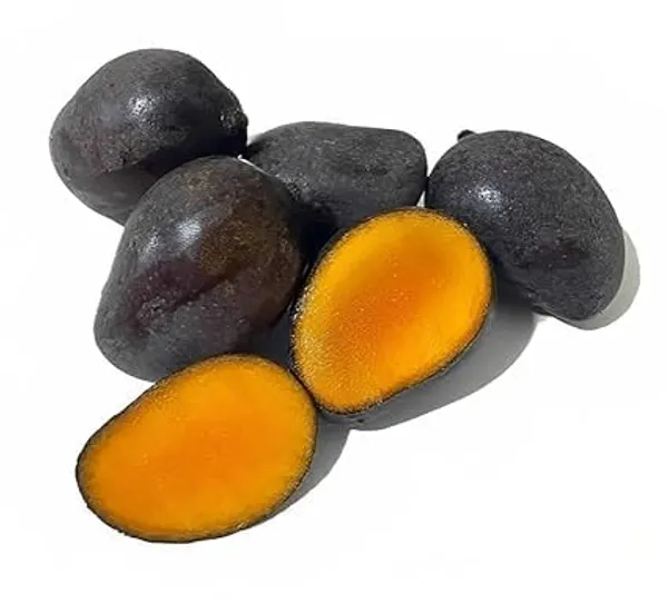 Bahan_Traders_Rere_Black_Kasturi_Mango_Grafted_Live_Plant_(Height_2_-_3_Feet)_Hybrid_(Fruit_After_1.5_-_2_Years)_Exotic_Flavor_&_Abundant_Harvest,_Fast_Growth_-_Ideal_For_Home_Gardens_|_Black_Mango_Tree