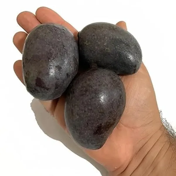 Bahan_Traders_Rere_Black_Kasturi_Mango_Grafted_Live_Plant_(Height_2_-_3_Feet)_Hybrid_(Fruit_After_1.5_-_2_Years)_Exotic_Flavor_&_Abundant_Harvest,_Fast_Growth_-_Ideal_For_Home_Gardens_|_Black_Mango_Tree