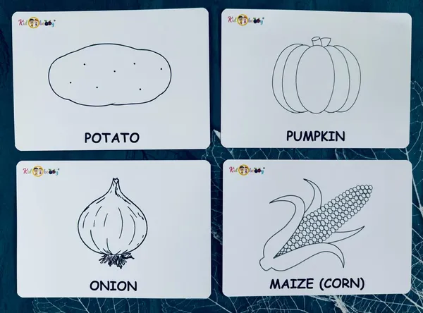 Vegetable_Flash_Cards_For_Kids