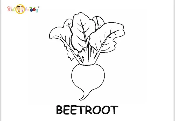 Vegetable_Flash_Cards_For_Kids